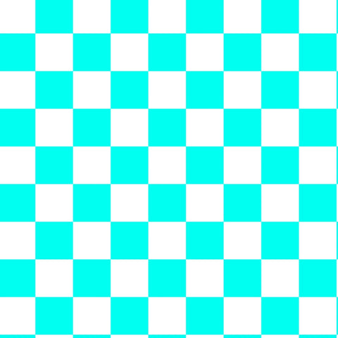PREORDER TEAL AND WHITE CHECKERS